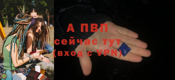 гидра Бронницы